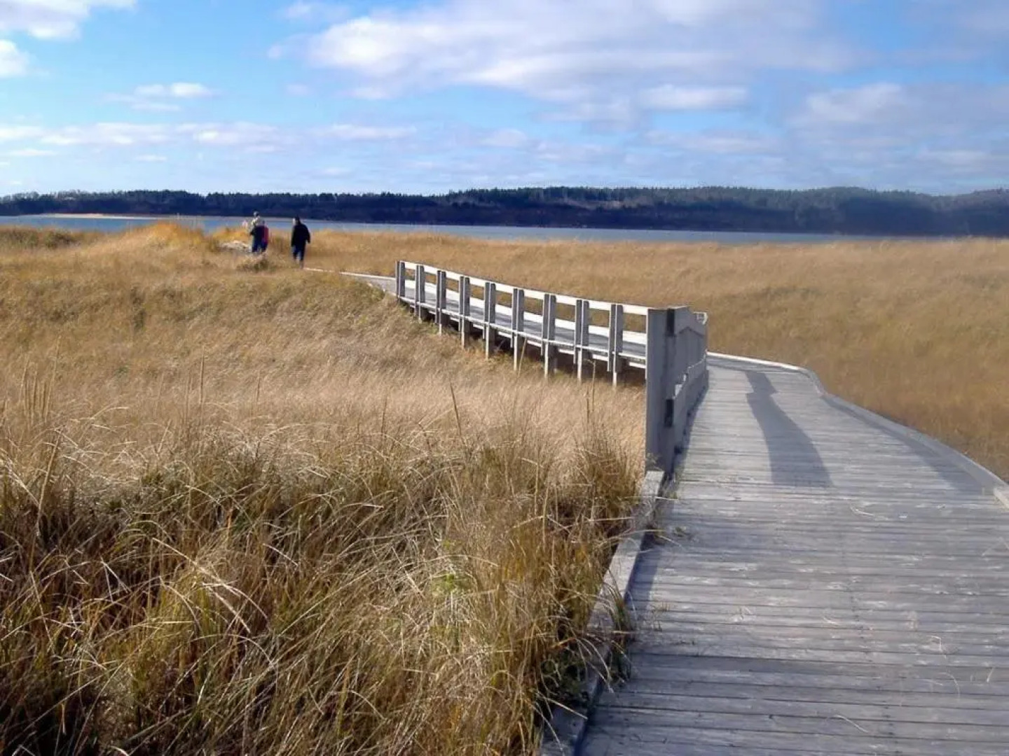 Gillies by the Sea Apartment and Suite