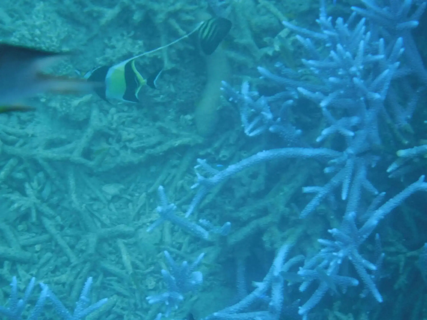 Sol e Mar (Amami Oshima)