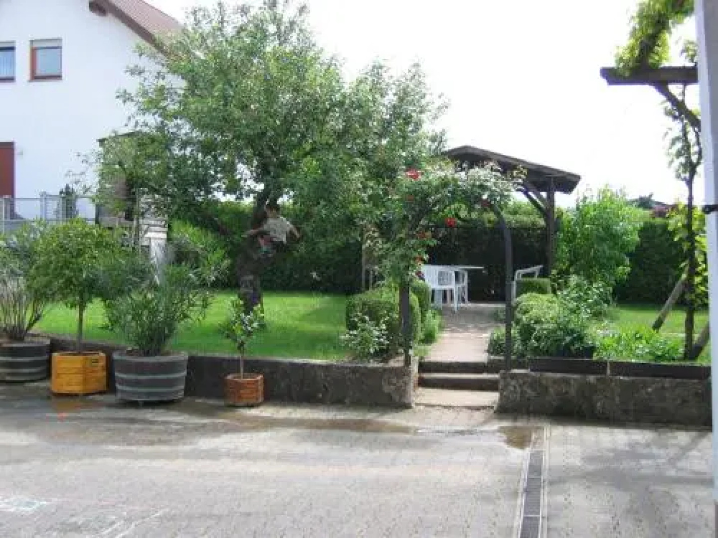 Weingut Arnold Pauly