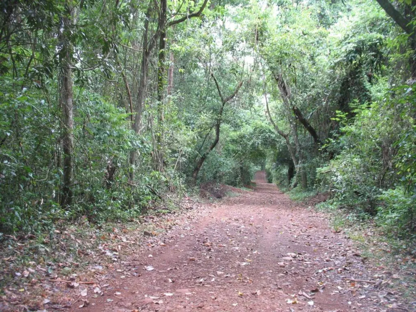 Austria Hostel & Pousada