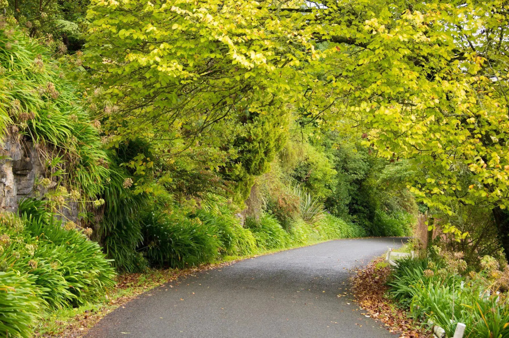 Waitomo Caves Hotel