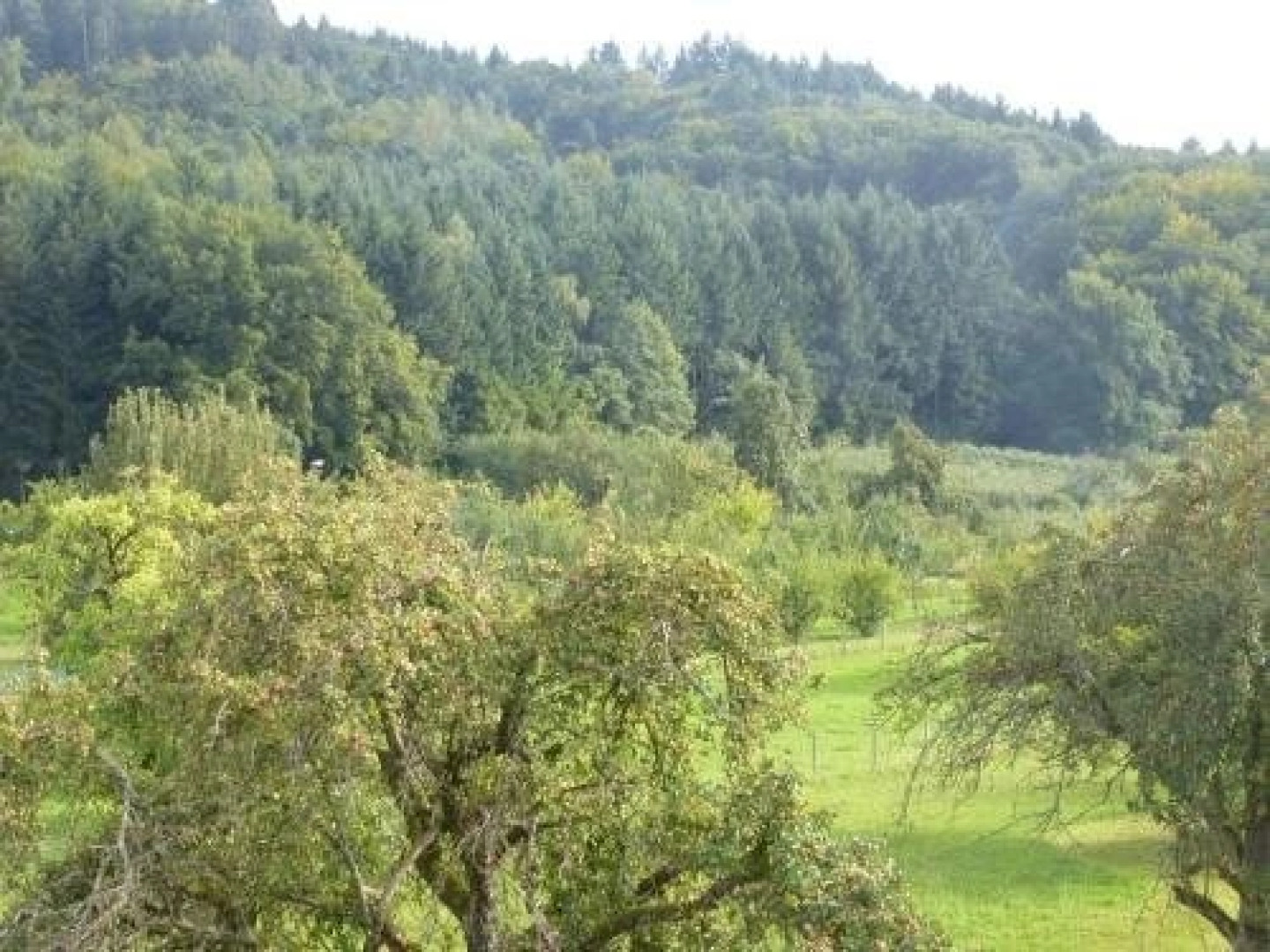 Gästezimmer am Flissertwald