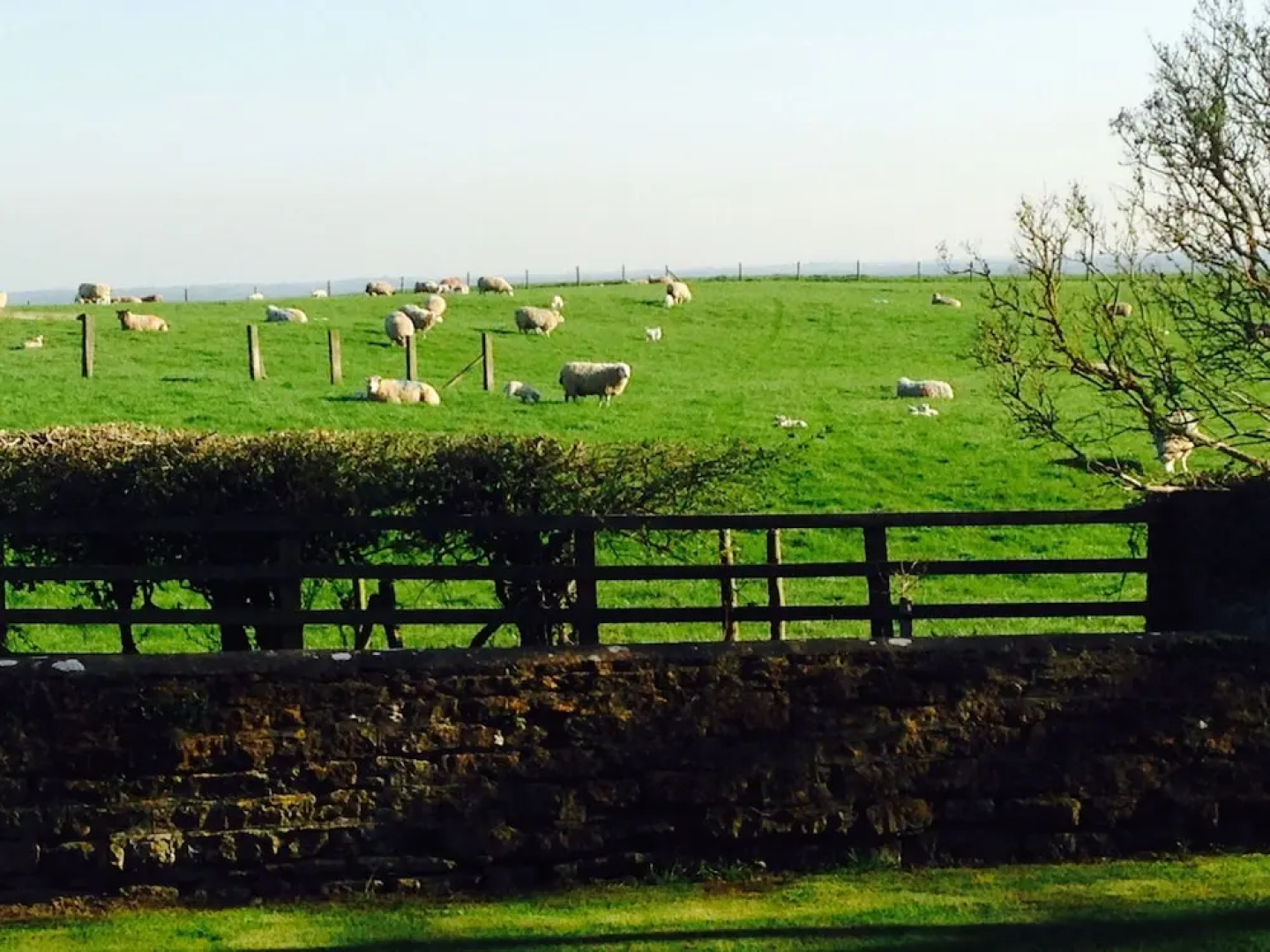 Hall Farm Bed & Breakfast