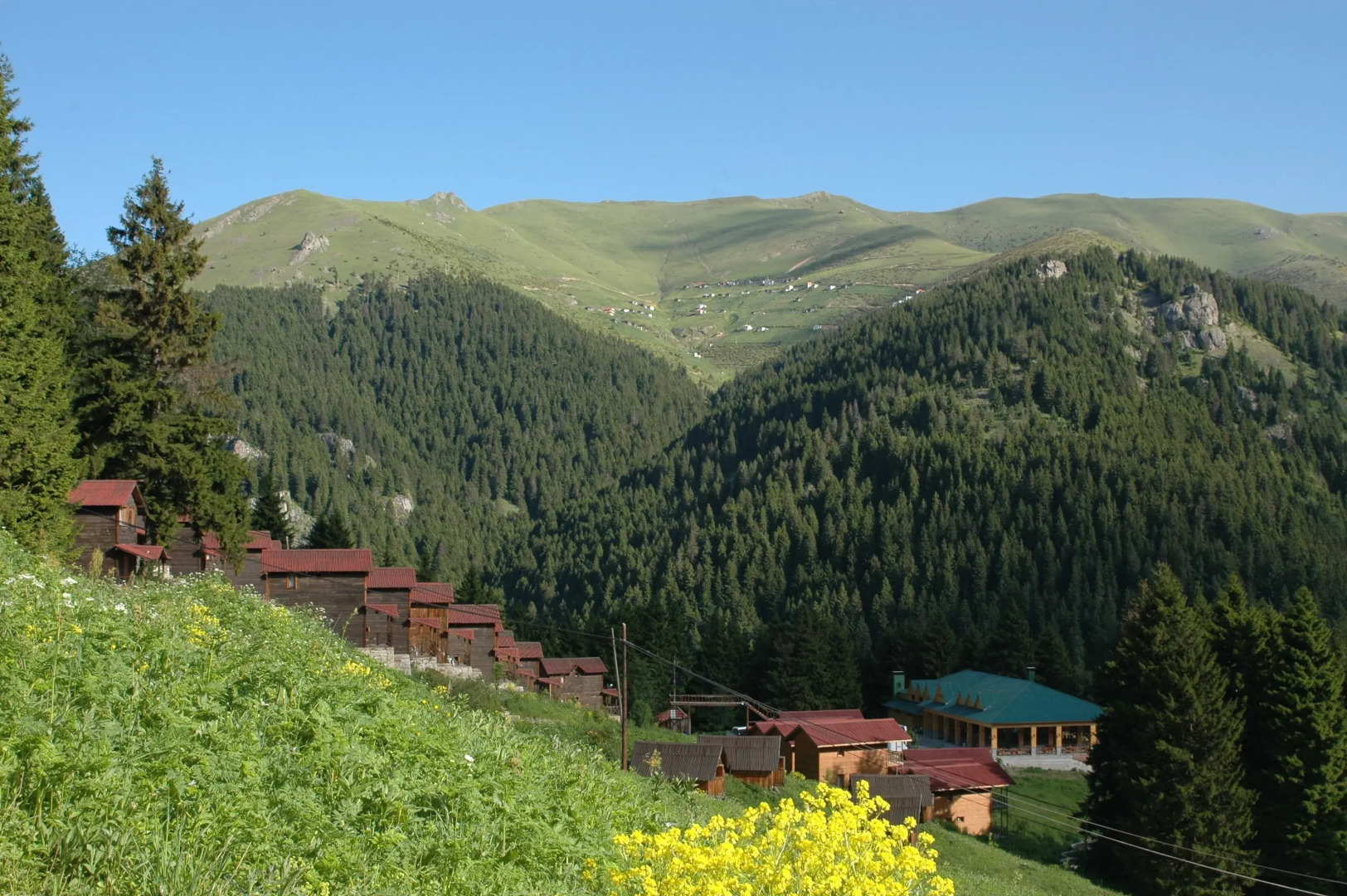 Hamsiköy Zitaş Bungalov & Restoran