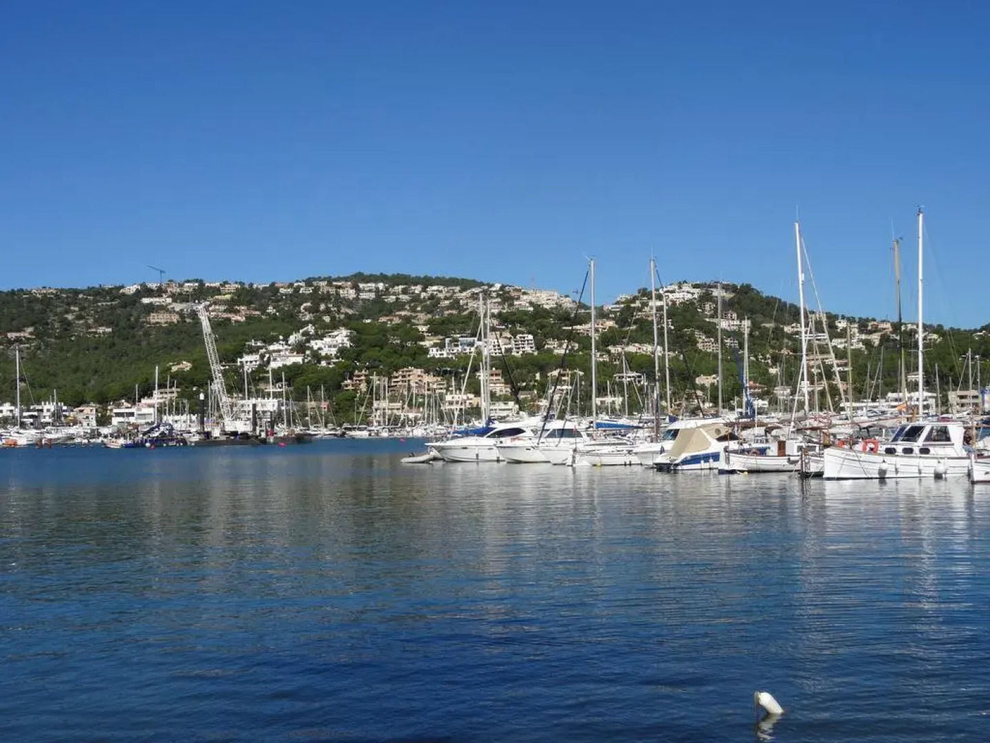 Apartments Liedtke-Museum