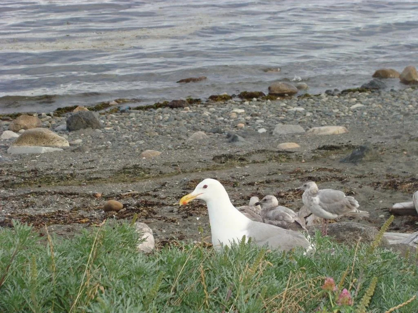 Estuary House Reflexology B&B