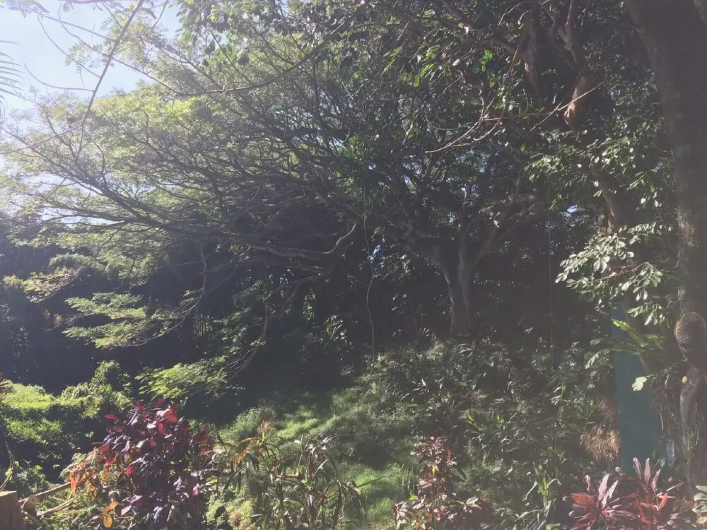 SweetSpotStay-Enchanted Grotto