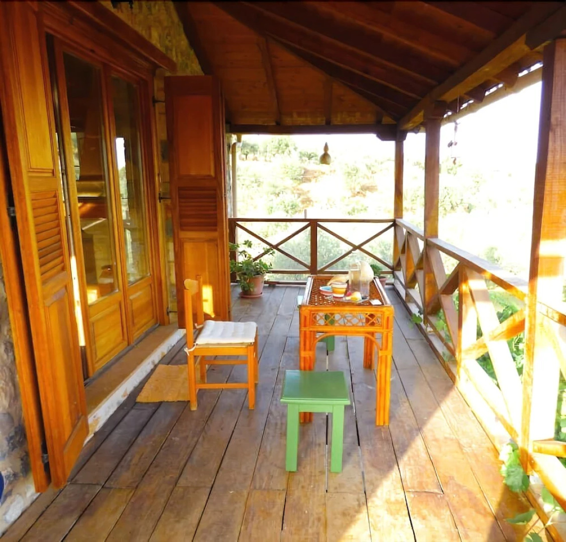 Luxurious Mansion in olive grove & view to Mystras