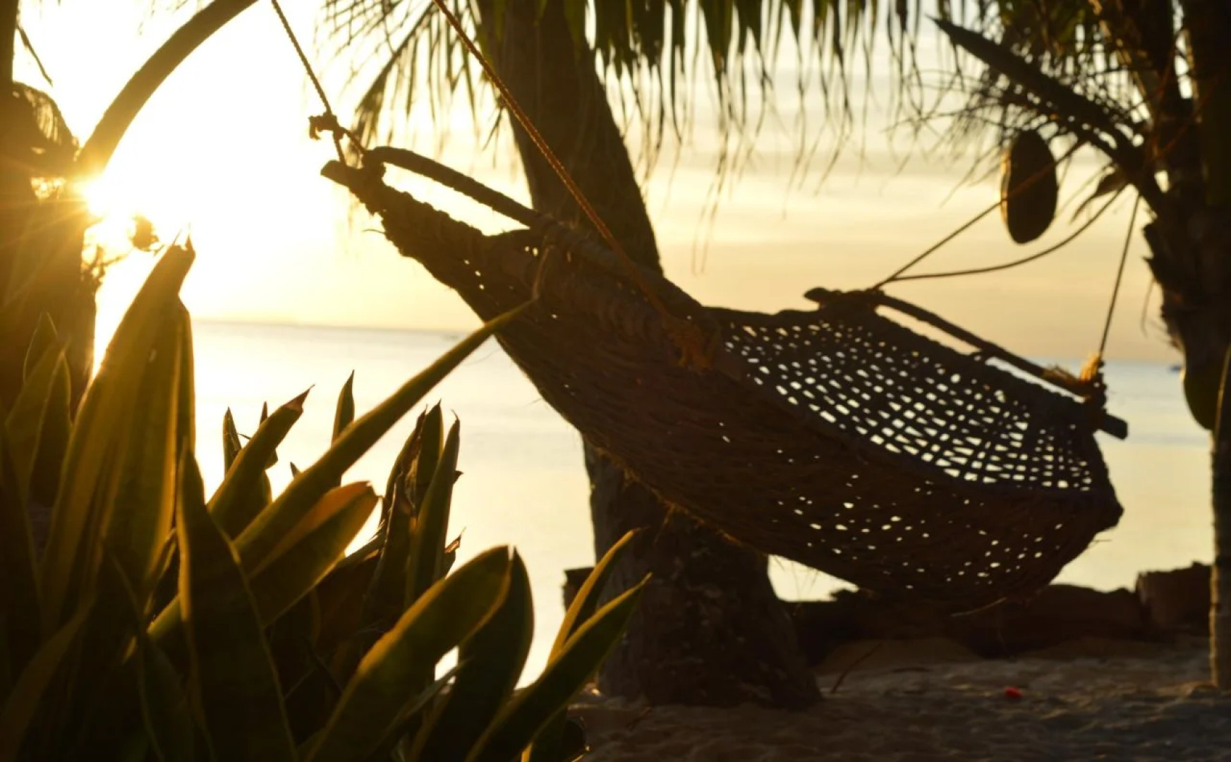 Palm Village Guesthouse