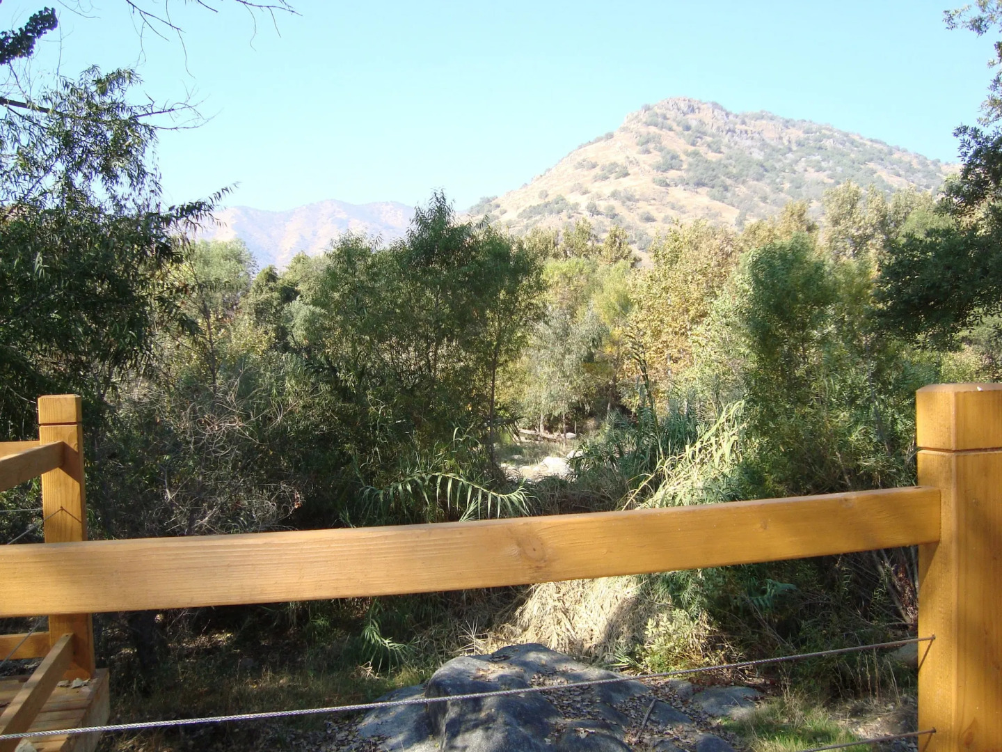 Sequoia Riverfront Cabins