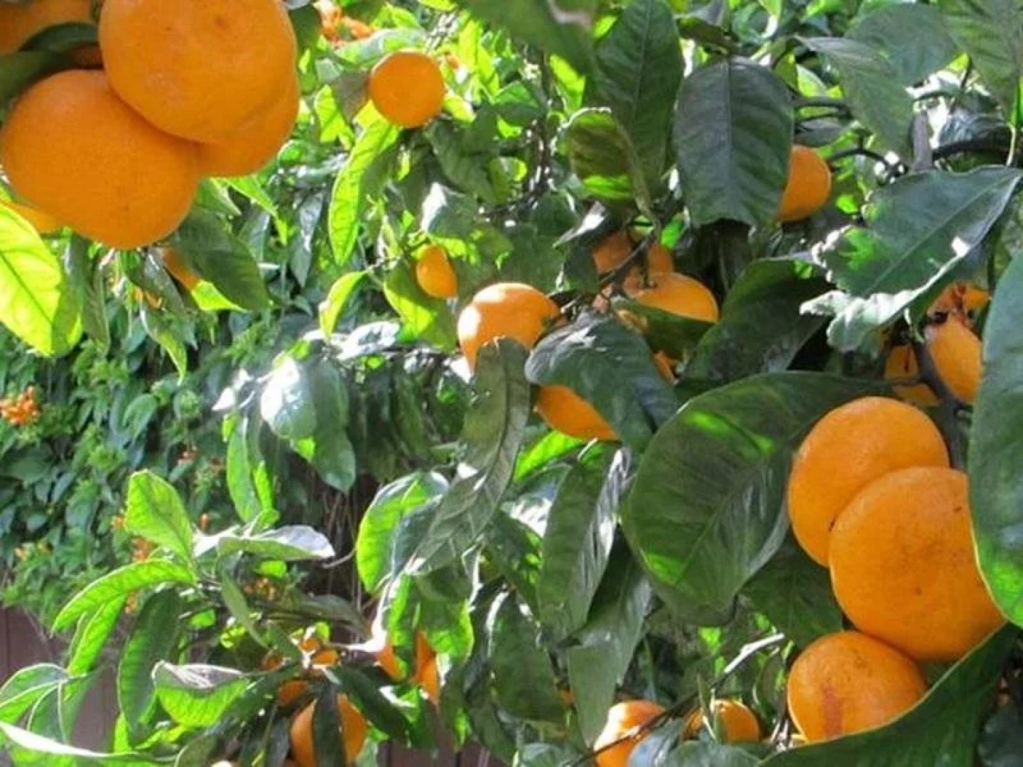 Kerry Lodge Bed & Breakfast