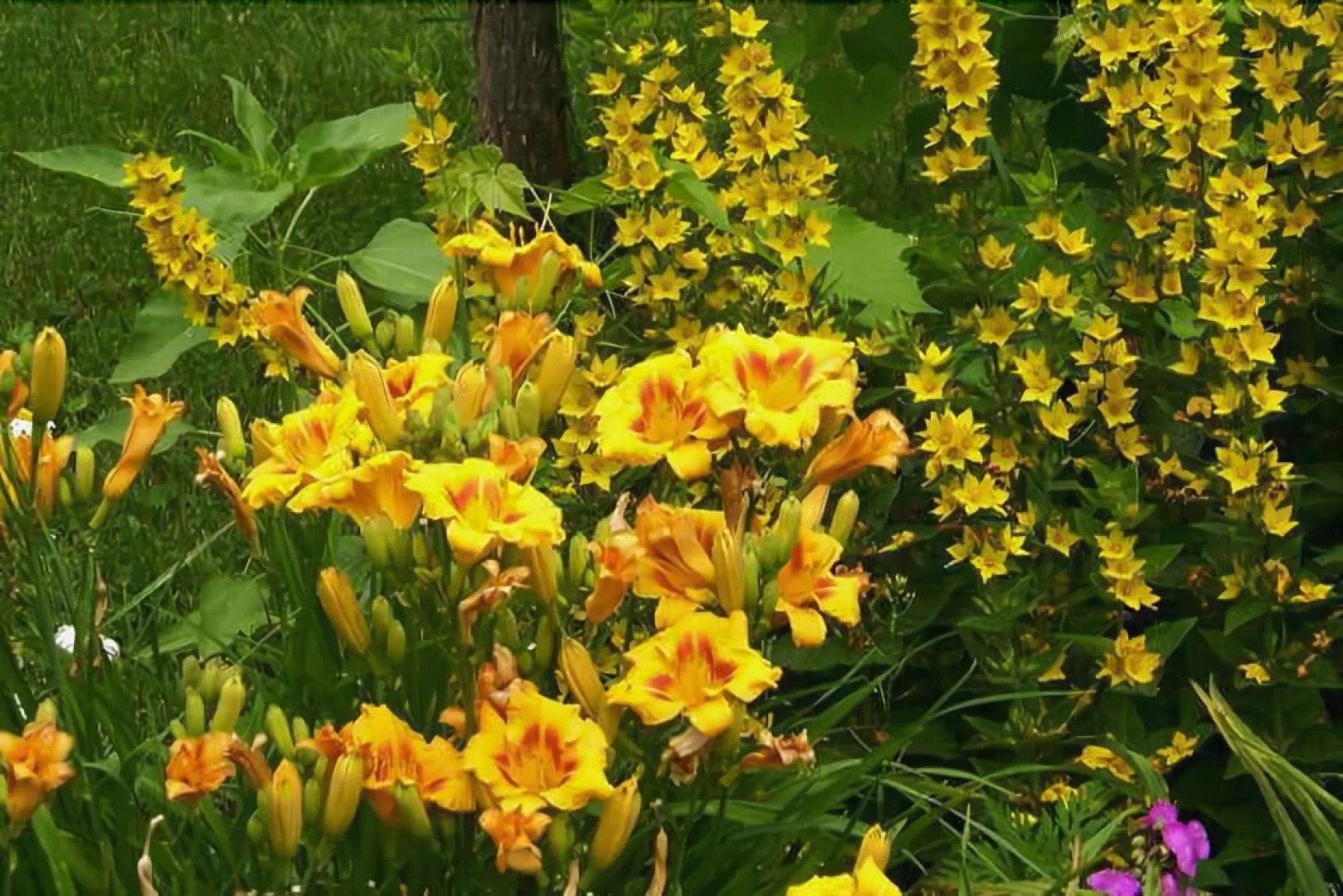 The Mission House Bed & Breakfast