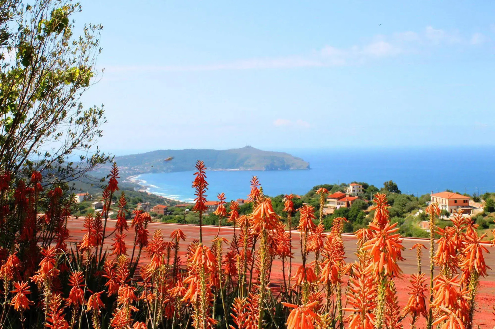 Il Poggio Del Cardinale