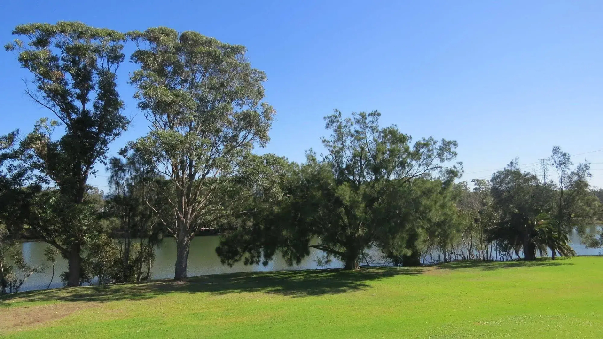 Macquarie 4 Star