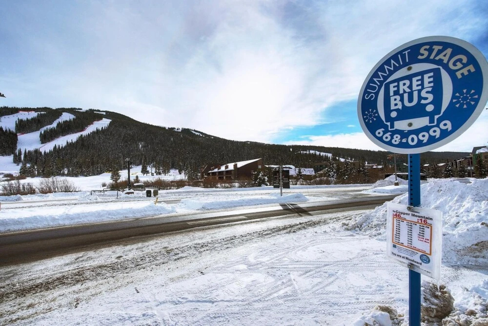 Stunning New Copper Condo