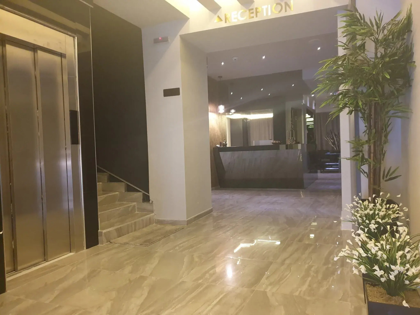 Hotel International Palace