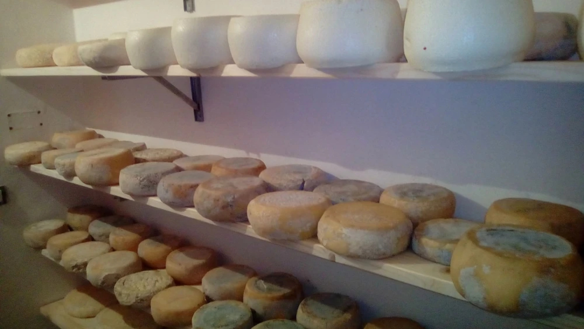 Agriturismo I due Falcetti