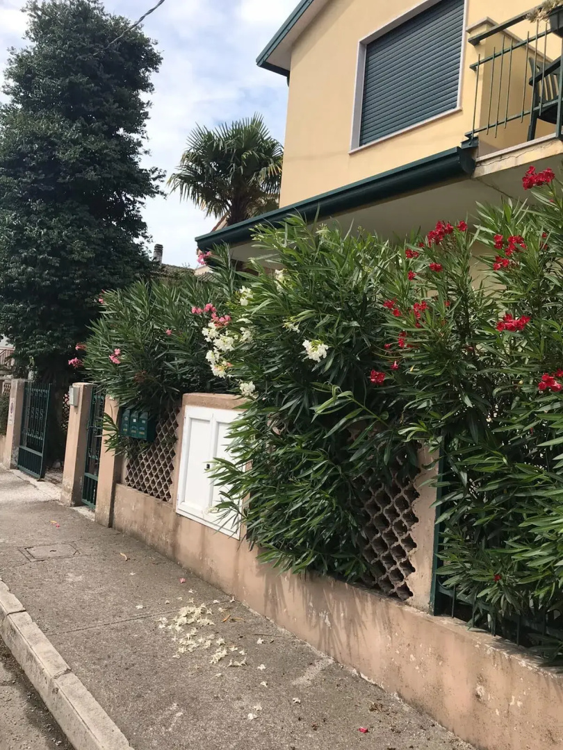 Affittacamere Fiumicello