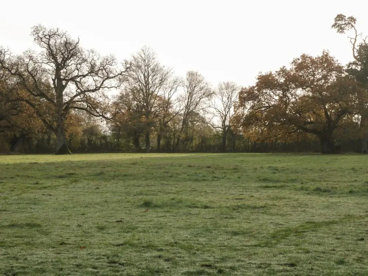 Palmers Green Cottage