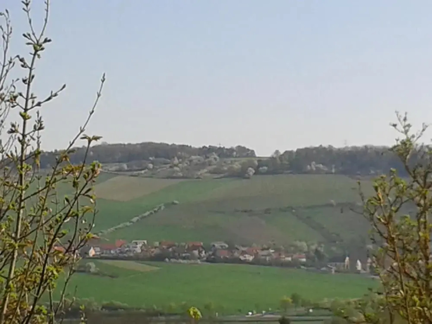 Rebgut - Die Weinherberge