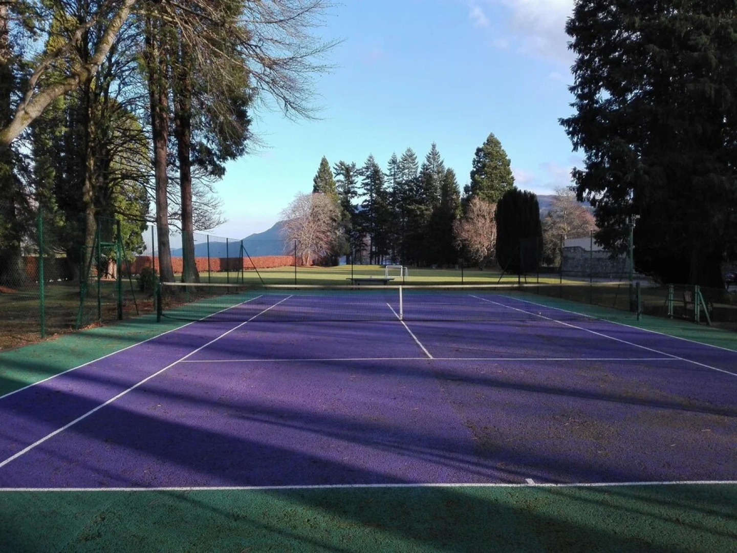 The Scriptorium Garden