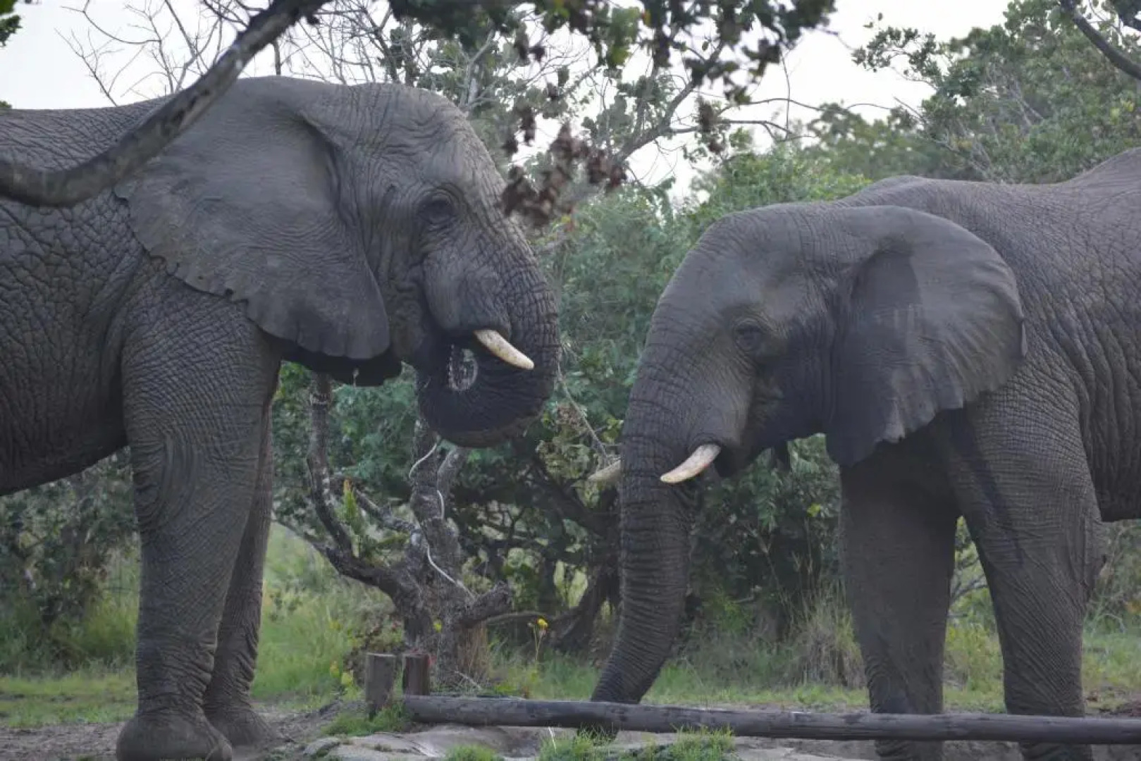 Makakatana Bay Lodge