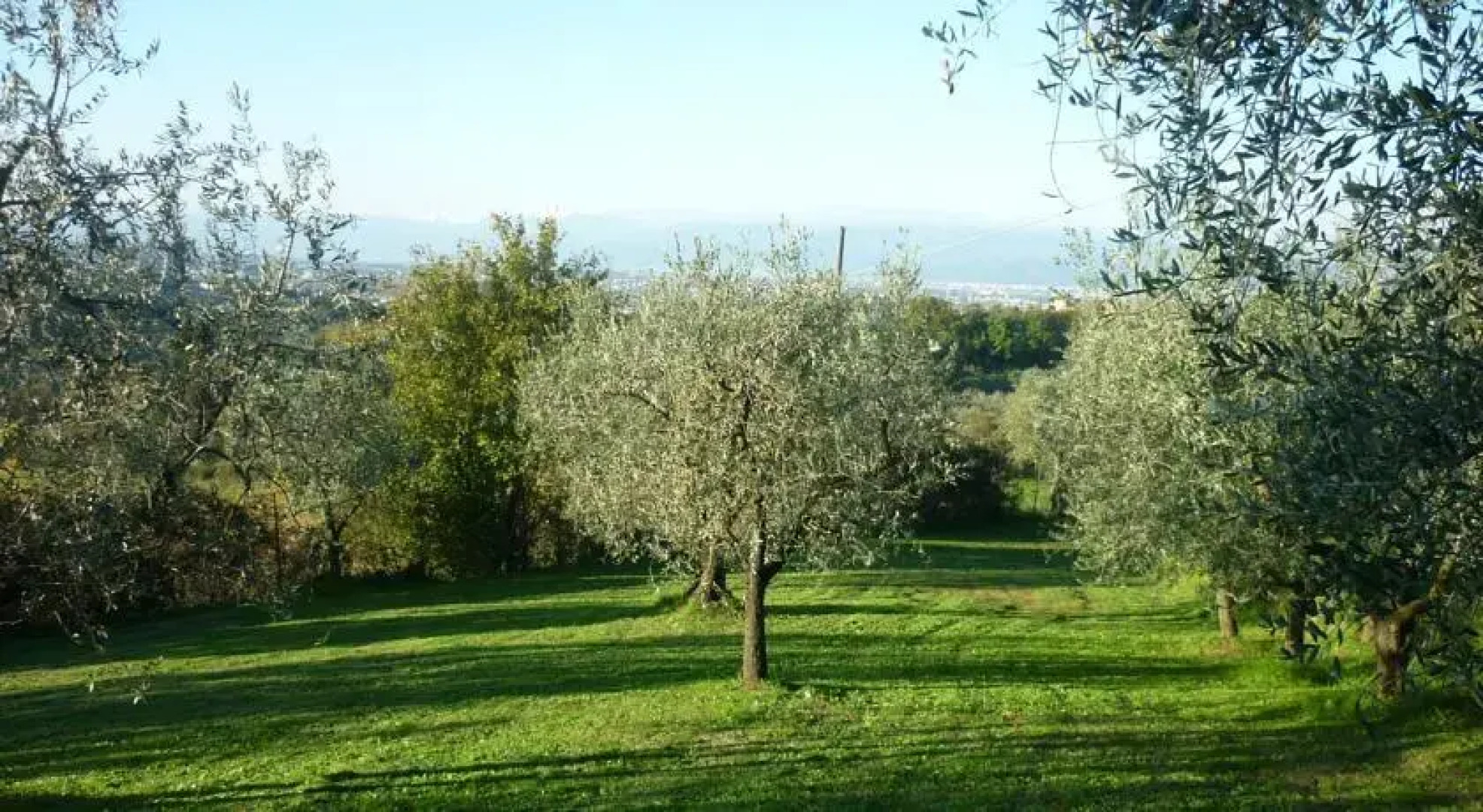 Monolocale a Villa il Mandorlo