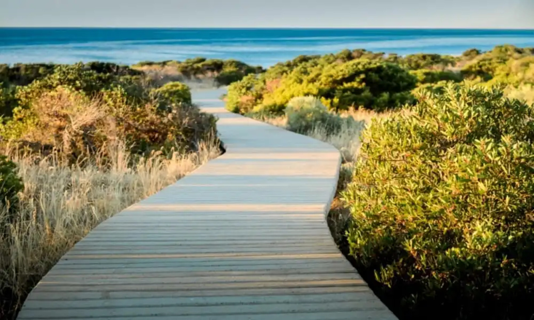 South Shores Yellowfin Villa 95 - South Shores Normanville