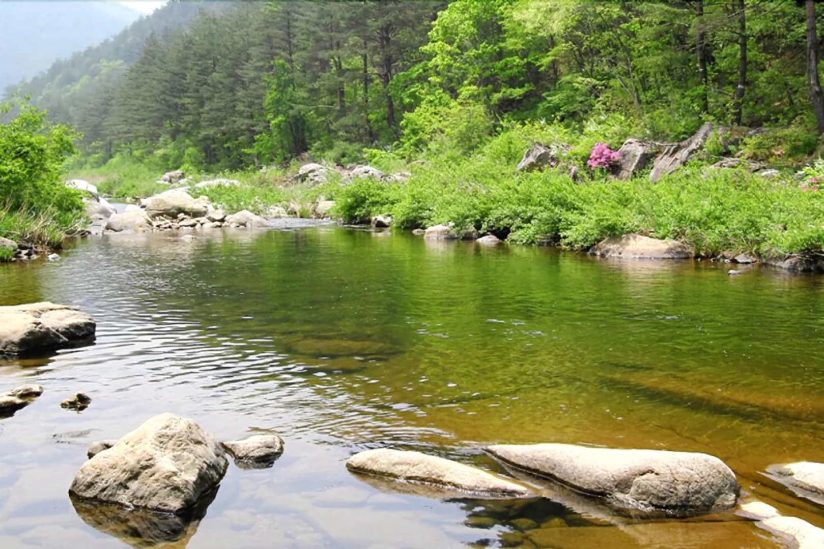 Jeongseon Click Pension