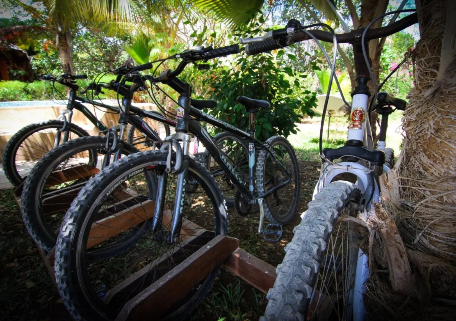 Spice Island Hotel & Resort