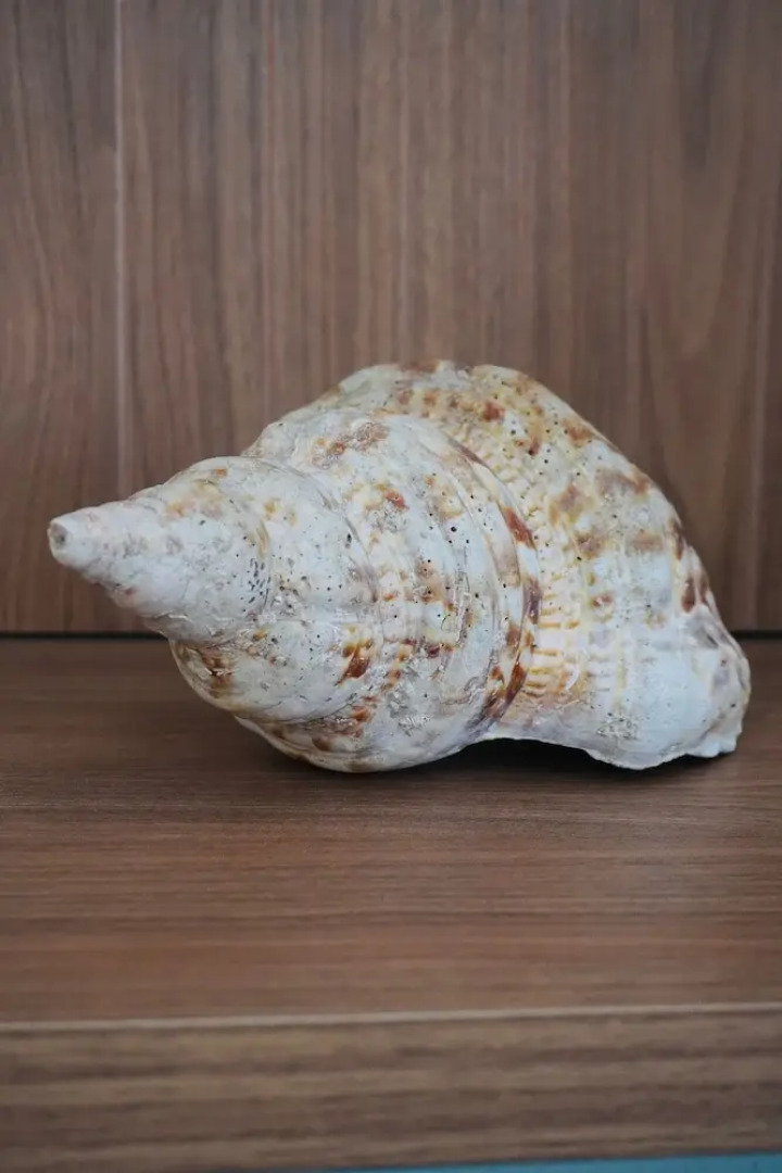 Casacharm - Praia do Preá