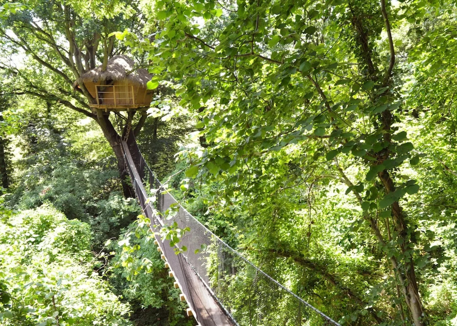 Les Cabanes De Fontaine