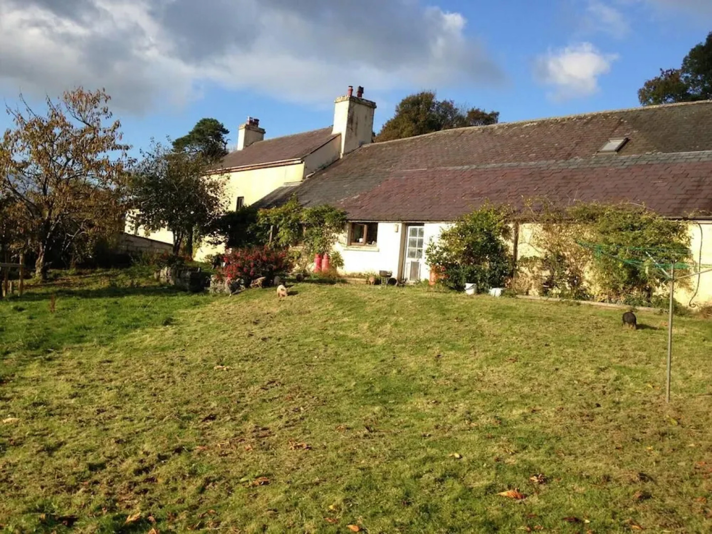 Relax in Mountain View Cottage at Cwmiar Farm
