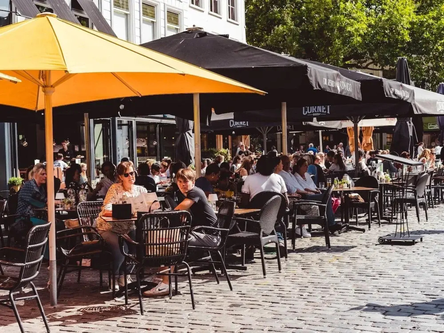 Villa in Someren Near Somerense Heide