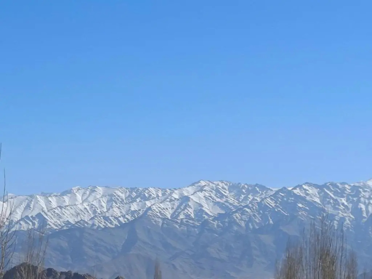 Hotel Malik Residency