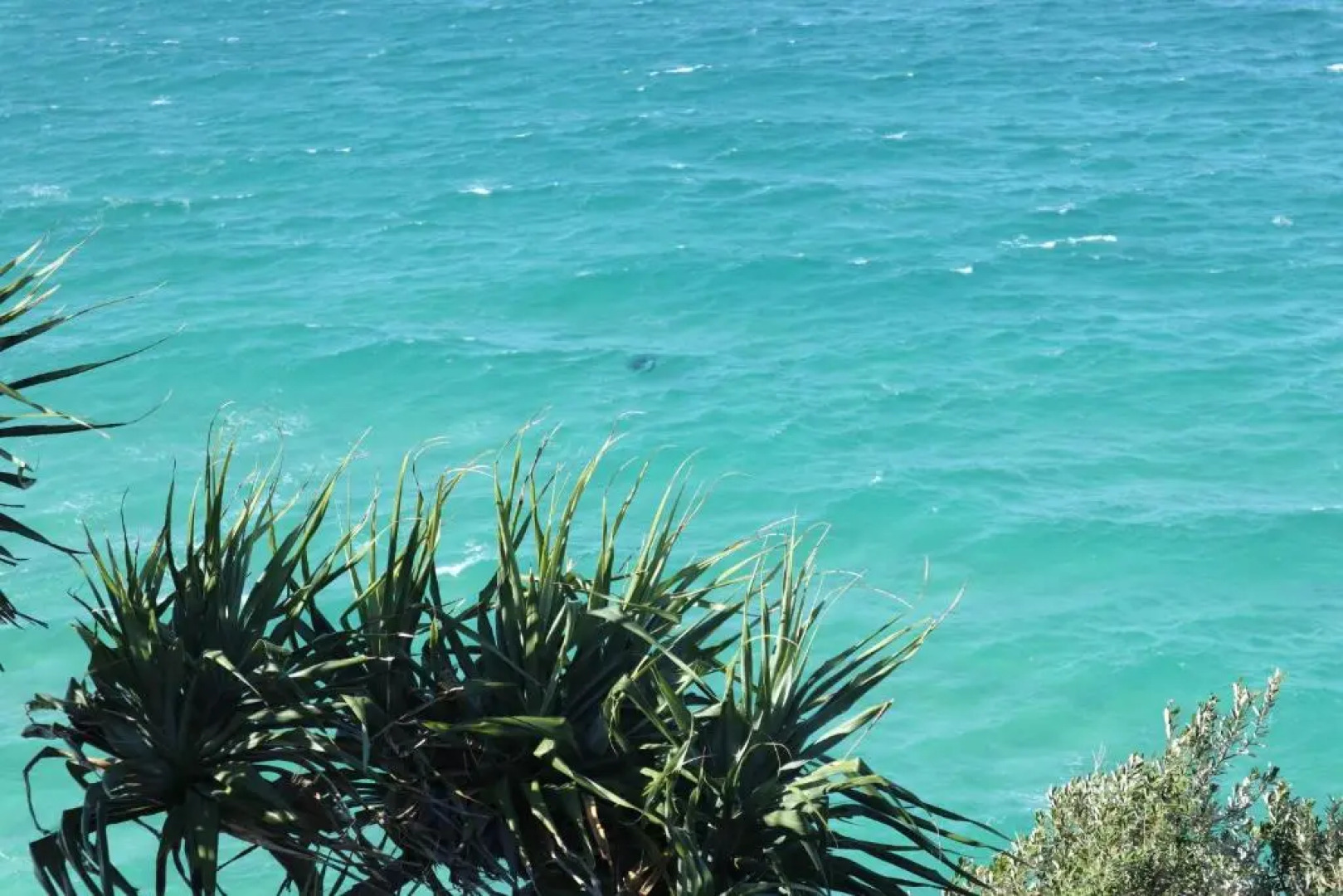 The Islander Holiday Resort