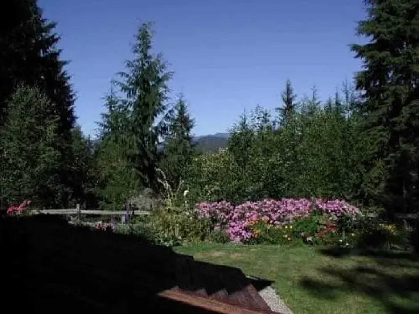 The Country Cedar Inn