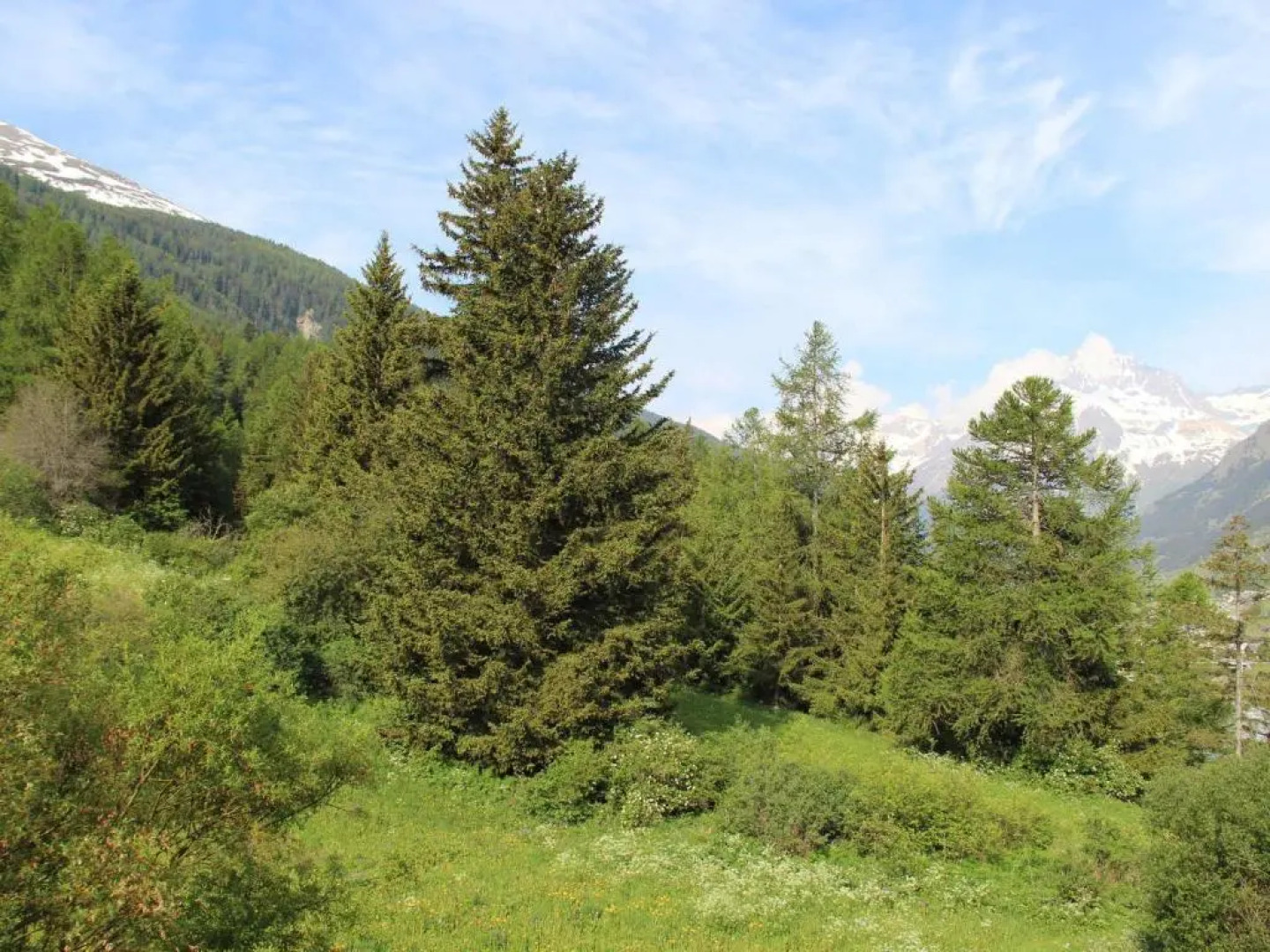 Appartement Lanslebourg-Mont-Cenis, 3 pièces, 6 personnes - FR-1-508-121