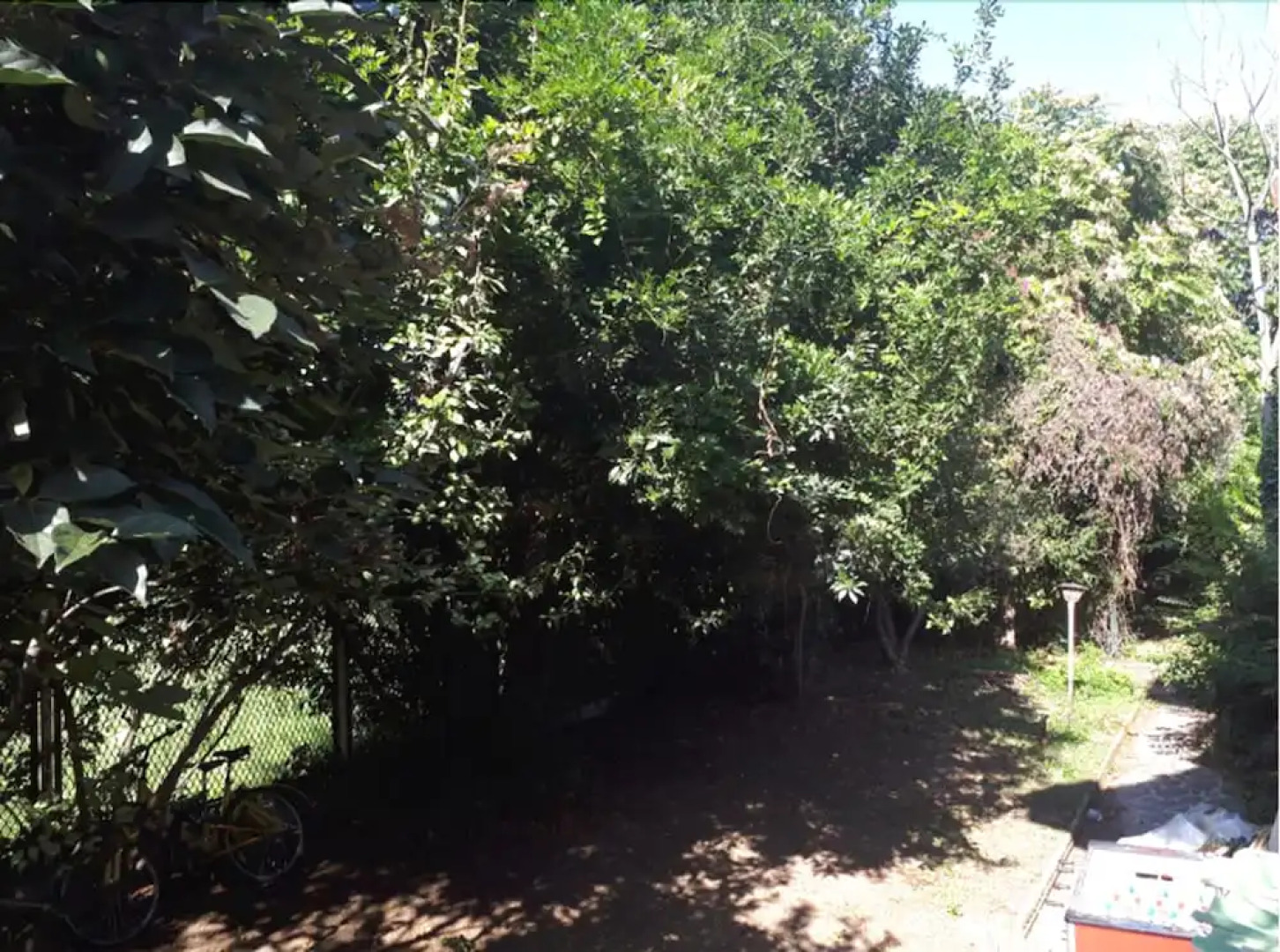 La casa di Mango e Pistacchio