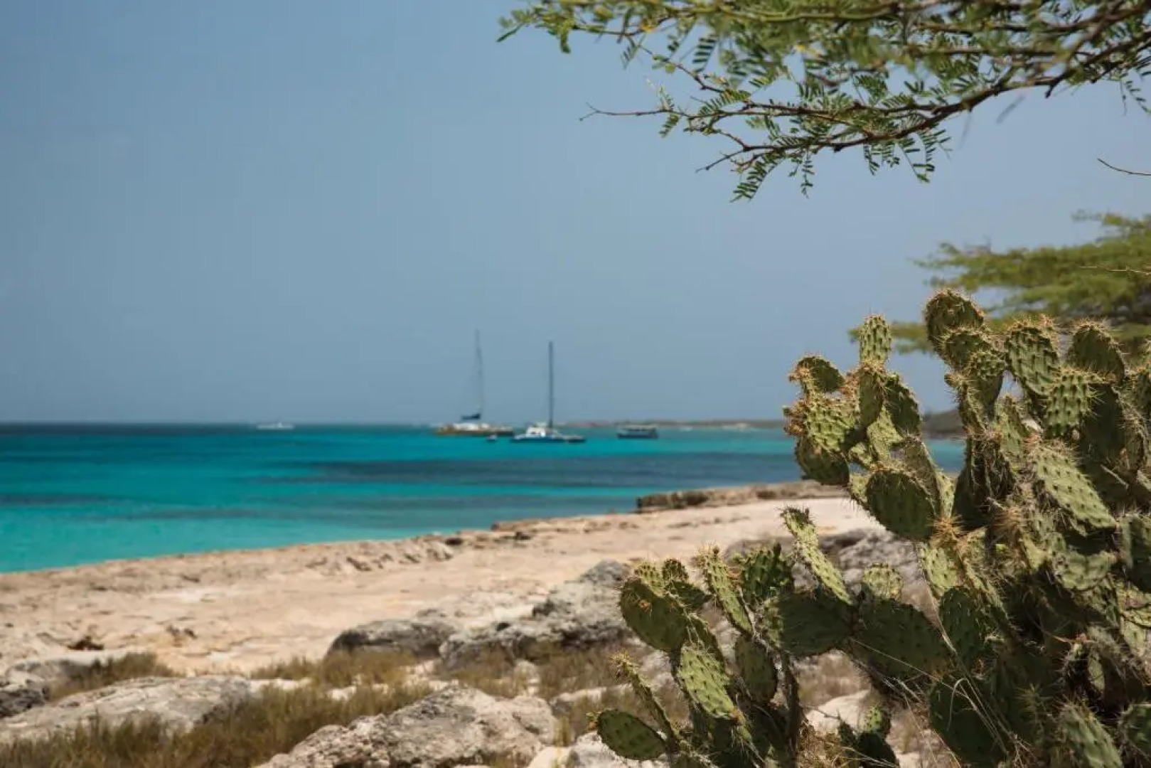 Marriott's Aruba Surf Club