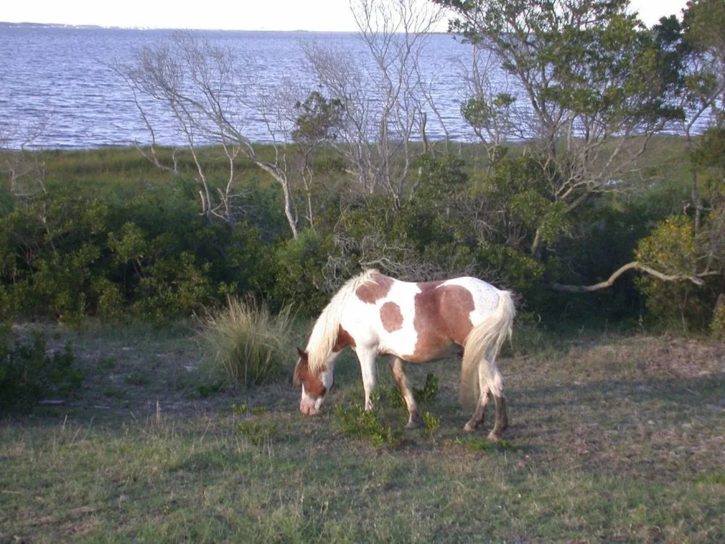 Harbour Island 31E by RedAwning