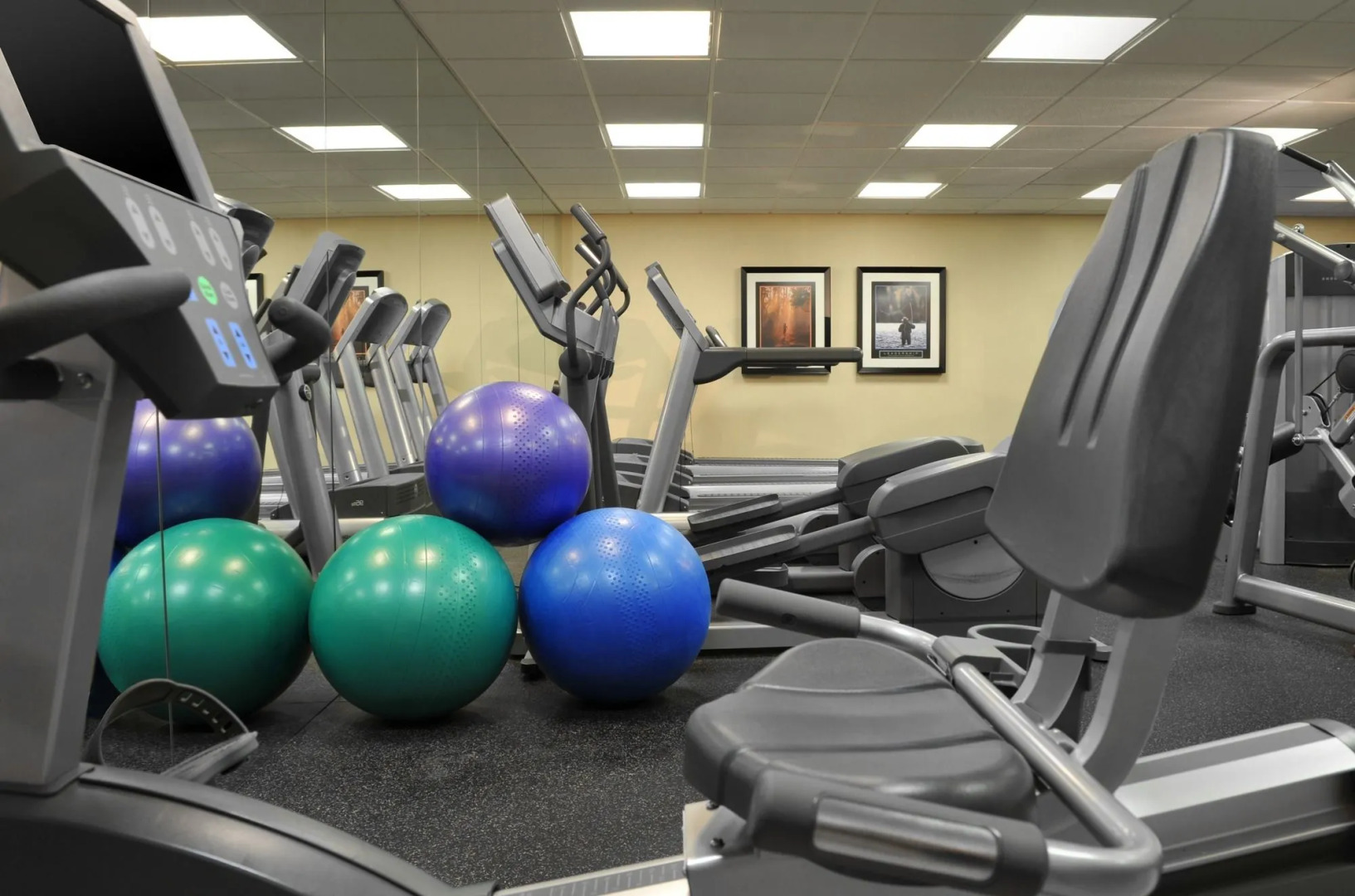 Sheraton Minneapolis West Hotel