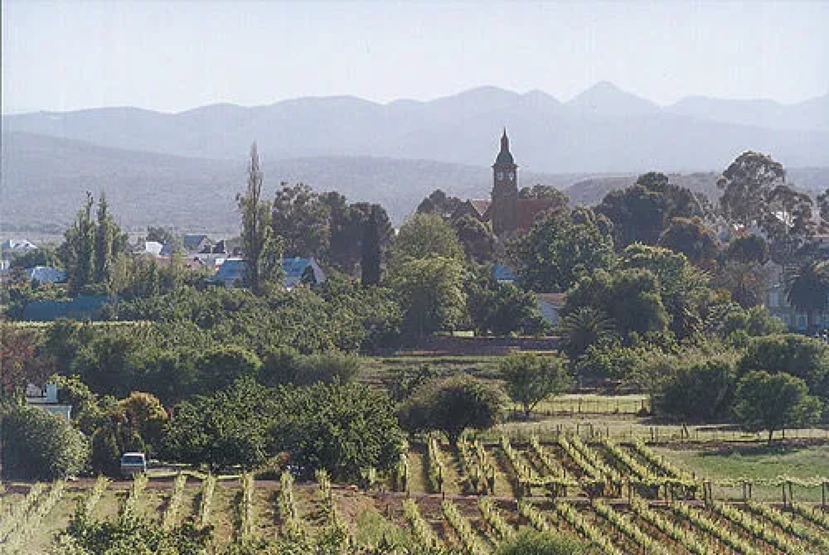 Port Wine Guest House