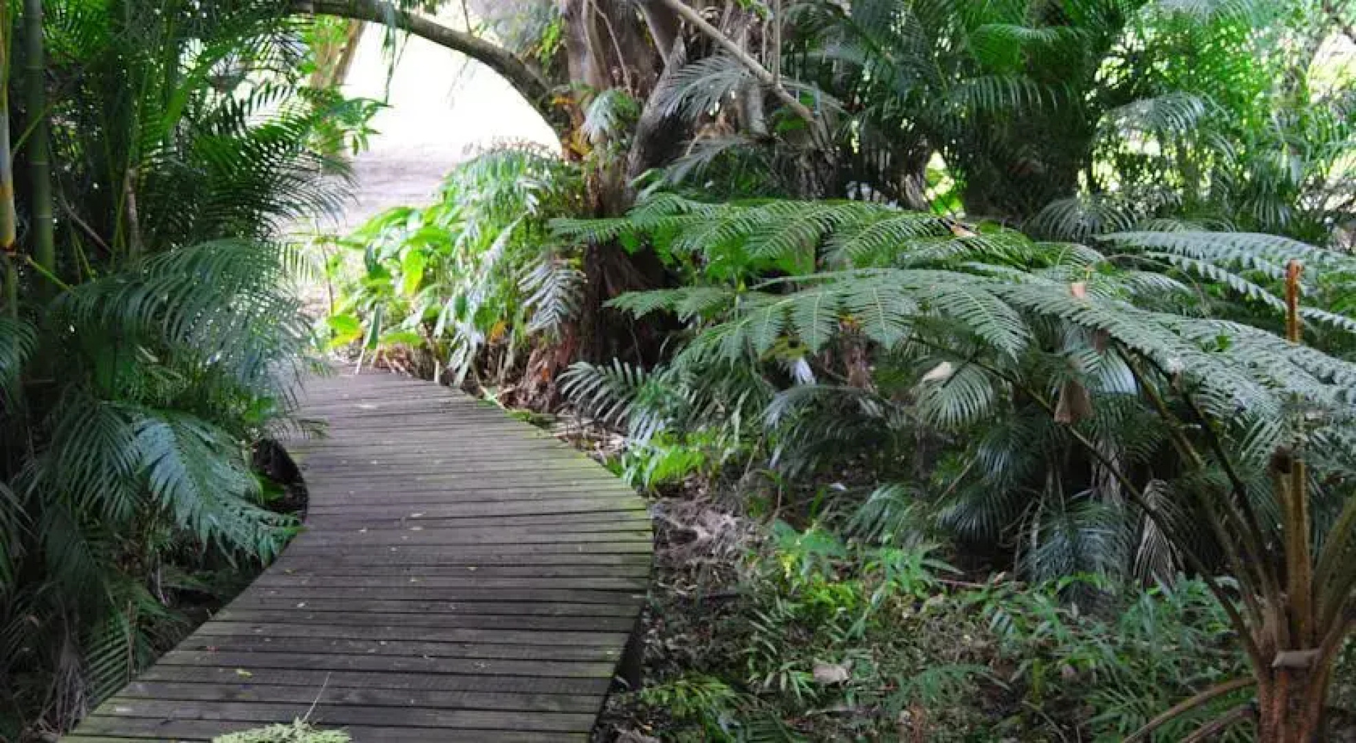 St Lucia Accommodation