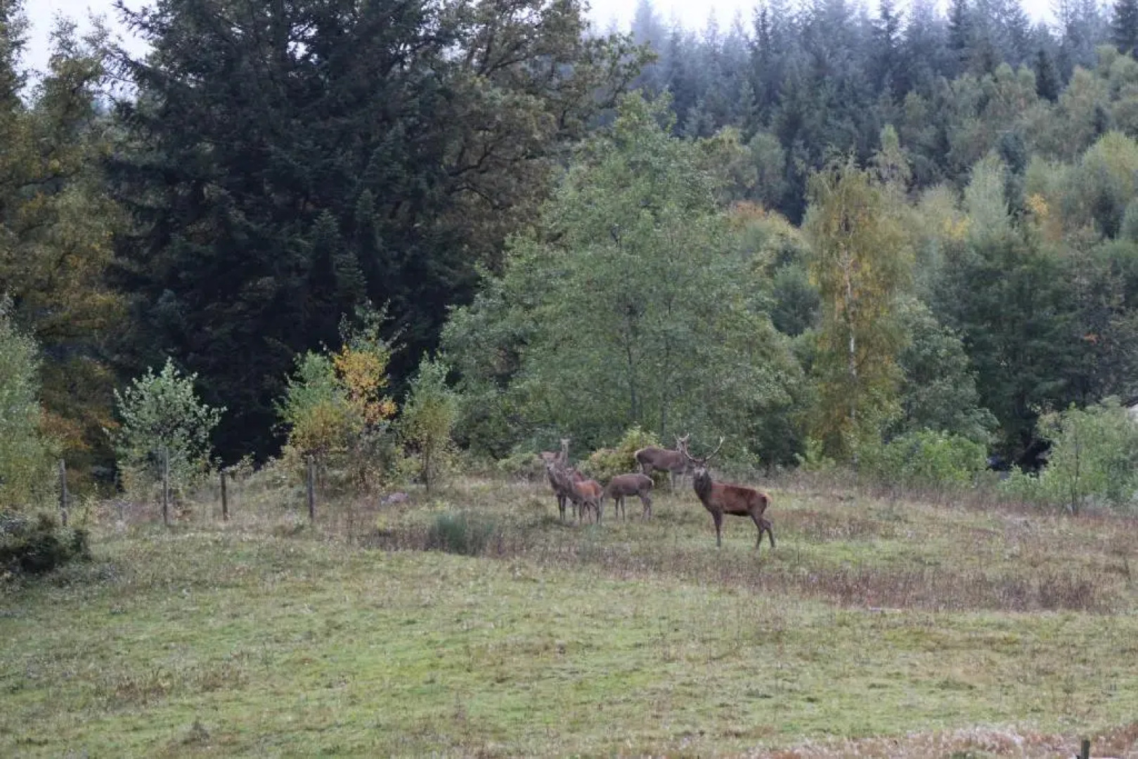 Haut Pre de Ces Dames