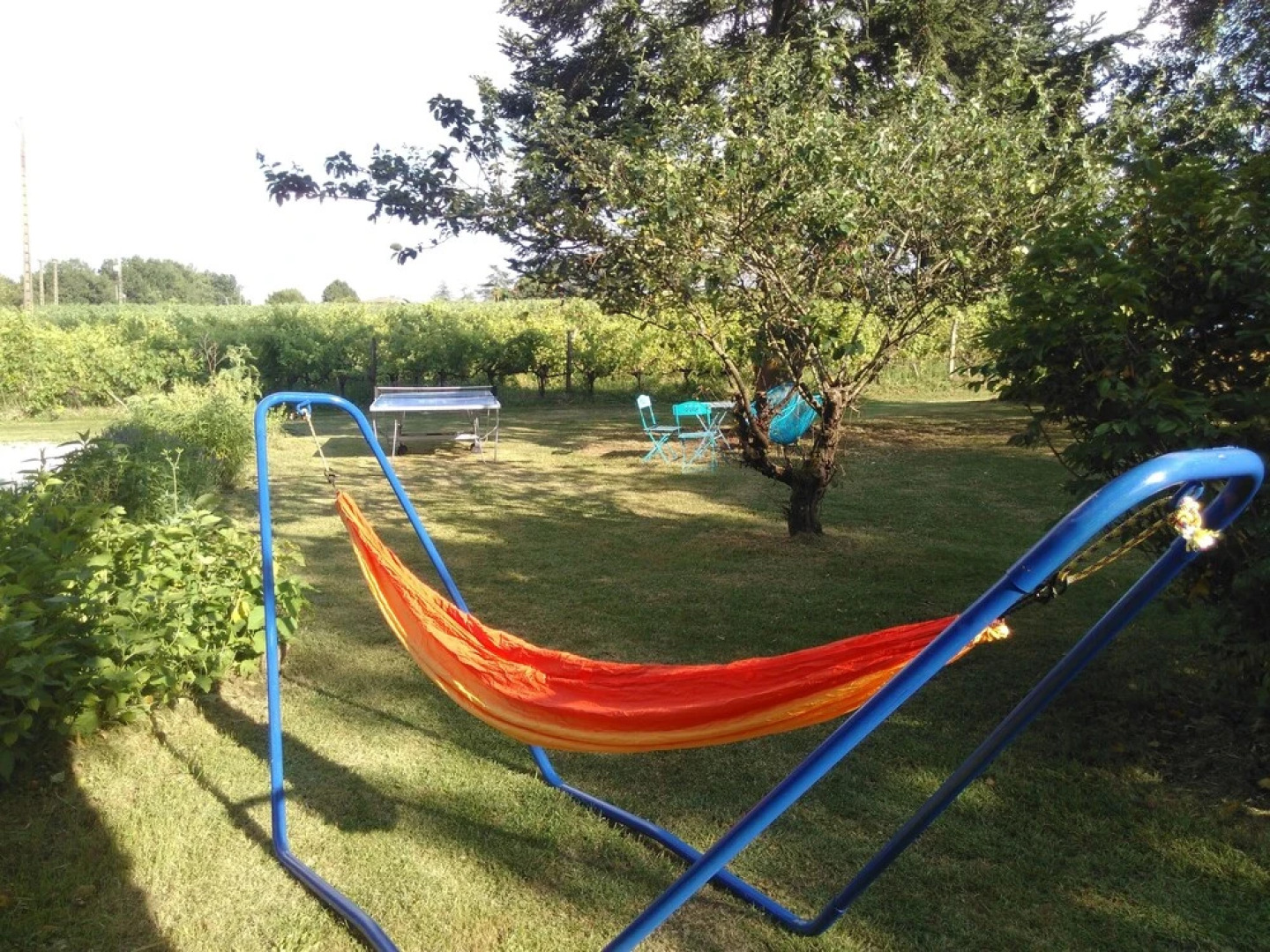 Le Champ Des Etoiles