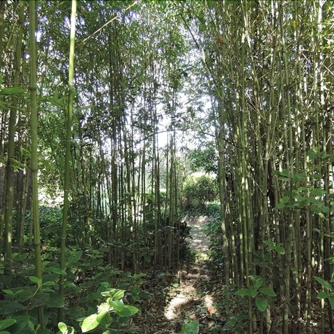 Villa de Labruguière Lacoste