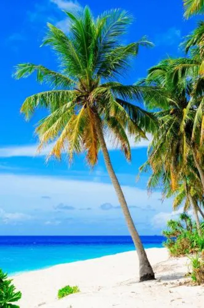 Veyli Residence Maldives