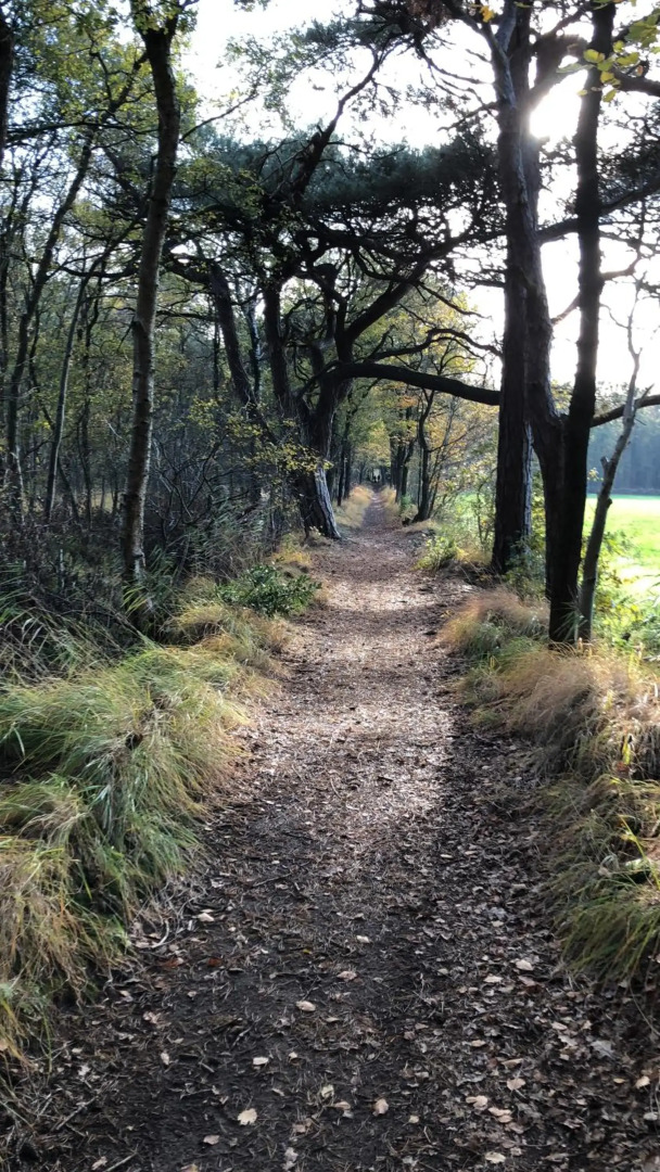 Vakantiewoning 'Eysinga State'