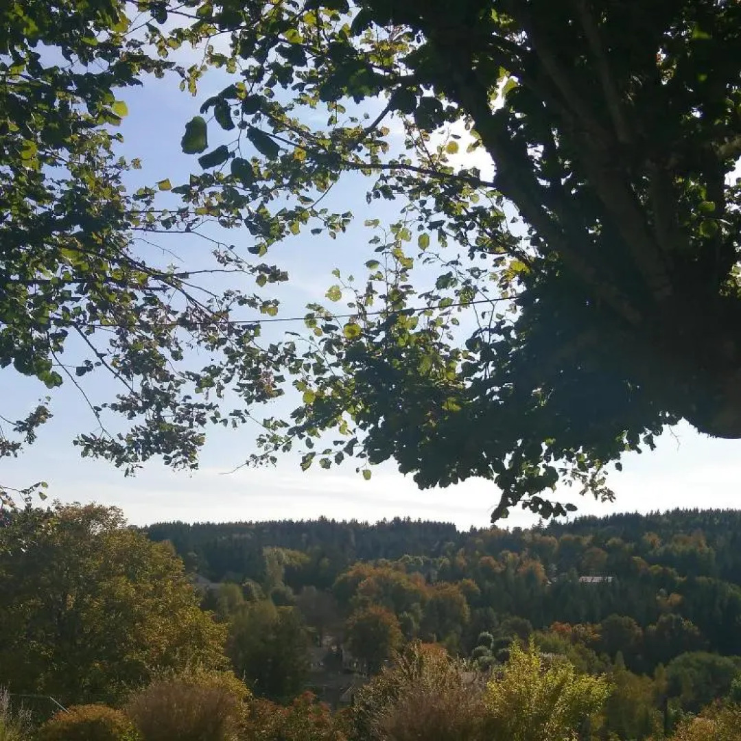 Gite La Coustourelle - Appartement T4 en coeur de village